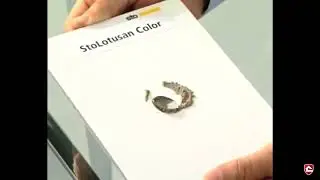 Принцип действия эффекта самоочищения (эффект лотоса) краски StoColor Lotusan