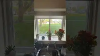 Lutron Serena Shades: Amazon ALEXA Demo 🗣️🪟