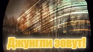 Соларография №13. Джунгли зовут!