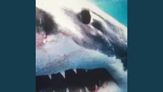 Hall Of Fame (Instrumental)