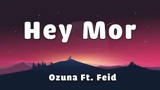 Ozuna Ft. Feid - Hey Mor