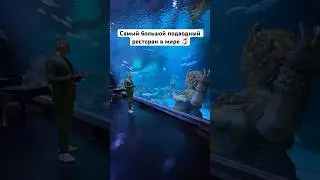 Добро пожаловать в Таиланд в самый большой подводный ресторан в мире!