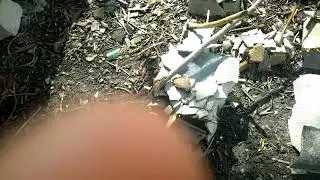 Маленькая деревня!!!