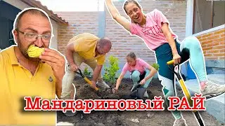 Бытовуха, Сажаем Деревья