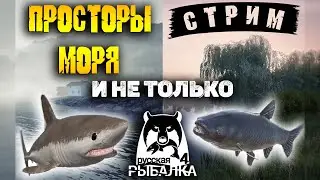 ▶ ТУРИМ,ФАРМИМ И ОБЩАЕМСЯ | РУССКАЯ РЫБАЛКА 4 | СТРИМ ▶ #shorts