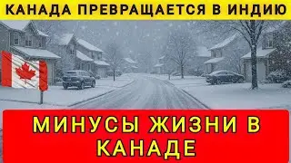 МИНУСЫ ЖИЗНИ В КАНАДЕ ❗ НОВАЯ ИНДИЯ ❗