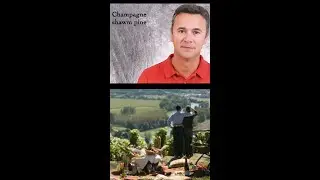 Champagne #shorts pronunciation-towns, grapes, brands