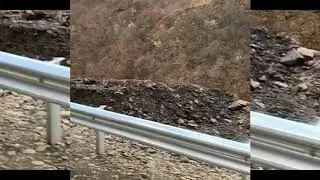 Шабан Шабанов, Джамиля
