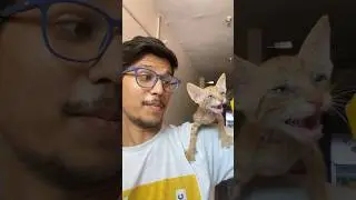 Dog Food का असर 😍✅ #trending #shorts #shortvideo
