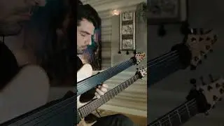 midnight solo / fretless guitar