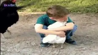boy and chickens - мальчик и куры