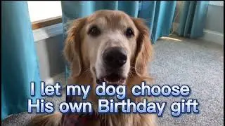 I let my dog choose his own Birthday gift!🎉🥳🎂