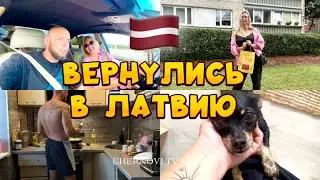 HOW TO MOVE TO BELARUS?! 🇧🇾 Our pets! MY ELDERLY DAUGHTER IS VISITING, Our city