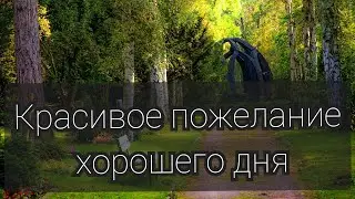 Красивое пожелание хорошего дня.