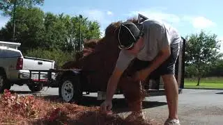 Lost Scene: Colacchio and Upwood Landscaping with Buddy York | Playing for Peanuts