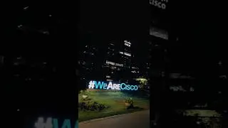 A day in my office at @cisco - The best place to work! 💼🌟 