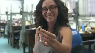 Desafio Julio Okubo | Giuliana Boulitreau