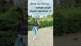 විශ්වාසයෙන් ඉන්න 🤜🤛හැමදේම හරියනවා 🥀# trdreams #fyp #trending #shorts #foryou #srilanka #happy