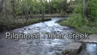 Pilgrim at Tinker Creek, chapter 1 discussion