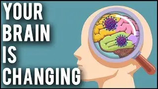 How Social Media Is Changing Your Brain in 2021