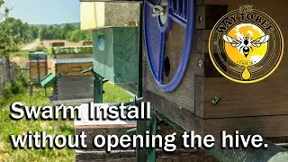 Swarm Install without opening the hive you're putting the bees in. Long observation, in real time.