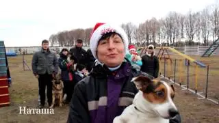 Поздравление с Новым 2016 годом! TALEXDOG (Черкассы)