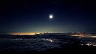 Max Richter Spring 1 - Recomposed: Vivaldi's Four Seasons (Slowed + reverb)