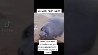 Прикол, Тик Ток Мем с Музыкой. Смешной зверёк, у мамы плохой