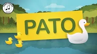 [ Animais ] PATO