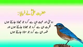 Pyare Hazrat Ali ki Pyari Baten / powerful quotes / Best collection of Hazrat Ali quotes
