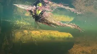 Underwater Everglades
