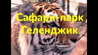 Сафари-парк в Геленджике