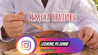 Семена крапивы могут помочь при лечении различных заболеваний.