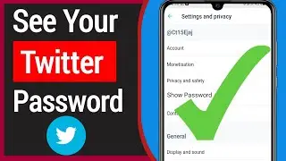How To See My Password Once I'm Logged Into Twitter (2022) | How To Find Twitter Password