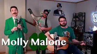 🍀🍀 Molly Malone - Irish Tin Whistle (Penny Whistle) in High D - Guitar, - Matt Tastic 🙏🏻🍀🍀