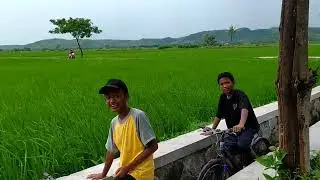 SUASANA KEINDAHAN ALAM DESA INI BAK LUKISAN