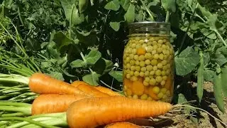 How to Can Peas and Carrots