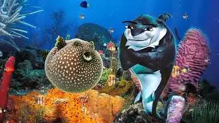Oceanic Gegagedigedagedago | 3 meme
