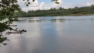 13 августа 2024 г.