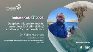 Deep benthic environments: an endless (but stimulating) challenge for marine robotics