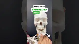 (Part 1 of 2) Does your jaw shift, click, or ache? Try these 3 quick muscles fixes! 