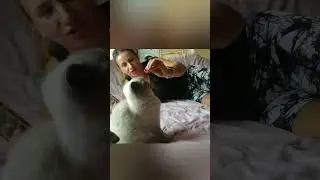 Ты на кого батон крошишь? 