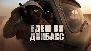 Едем с котами на Донбасс
