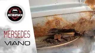 Мерседес Виано / Mersedes Viano