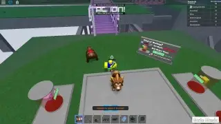 Roblox Fun