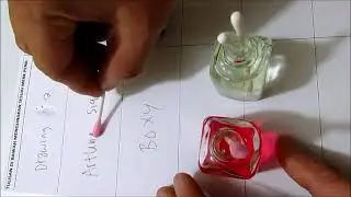 HOW REMOVE ERASE PERMANENT SIGNATURE INK FROM PAPERS BYMAGIC INK REMOVER FLASH