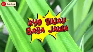 Belajar Bahasa Jawa #28 Bahasa Krama Tidak Baku
