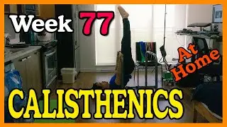 WEEK 77 - Calisthenics Trained Beginner Routine (Bodyweight Fitness Home Training)
