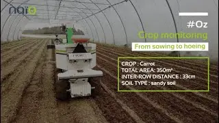 #Oz - 2021 - From sowing to hoeing