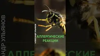 Аллергия #проктолог #shorts #доктор #иммунология #аллергии #анестезия #анализы #чувствительность